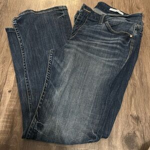 Daytrip Virgo bootcut